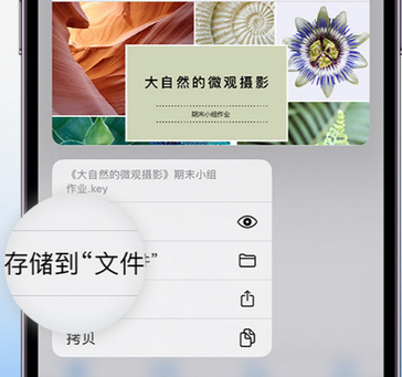 大足apple维修中心分享iPhone文件应用中存储和找到下载文件