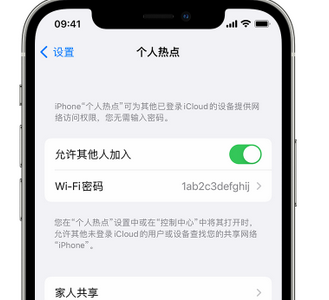 大足apple服务站点分享iPhone上个人热点丢失了怎么办 