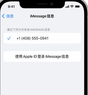 大足apple维修iPhone上无法正常发送iMessage信息 