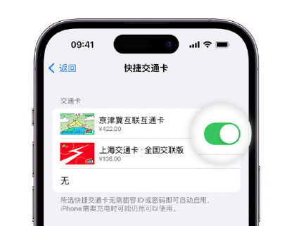 大足apple维修点分享iPhone上更换Apple Pay快捷交通卡手绘卡面 