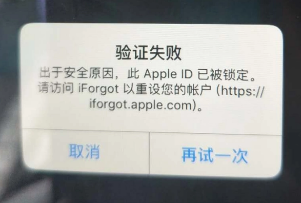 大足iPhone维修分享iPhone上正常登录或使用AppleID怎么办 