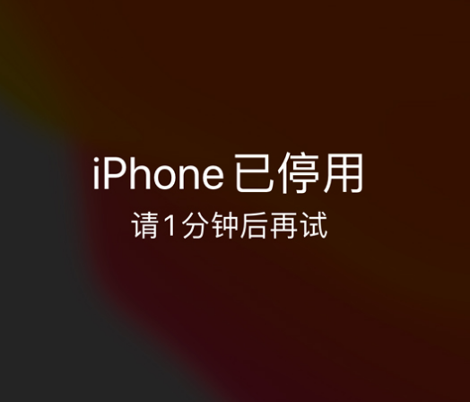 大足苹果手机维修分享:iPhone 显示“不可用”或“已停用”怎么办？还能保留数据吗？ 