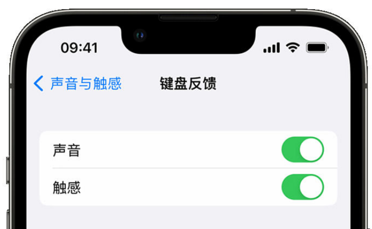 大足苹果手机维修分享iPhone 14触感键盘使用方法 