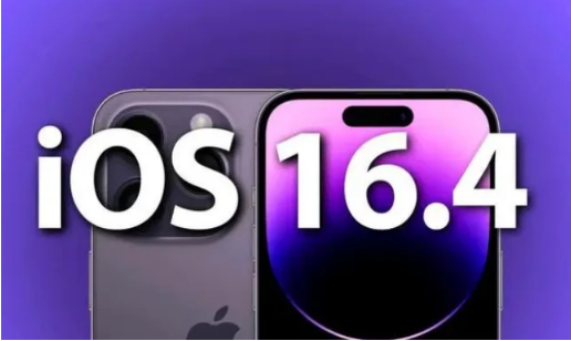 大足苹果14维修分享：iPhone14可以升级iOS16.4beta2吗？ 