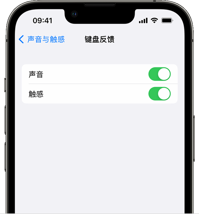 大足苹果14维修店分享如何在 iPhone 14 机型中使用触感键盘 