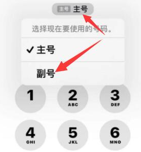 大足苹果14维修店分享iPhone 14 Pro Max使用副卡打电话的方法 