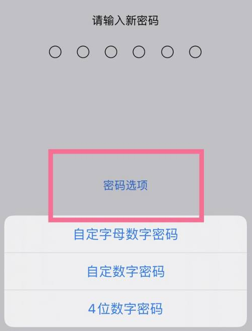 大足苹果14维修分享iPhone 14plus设置密码的方法 