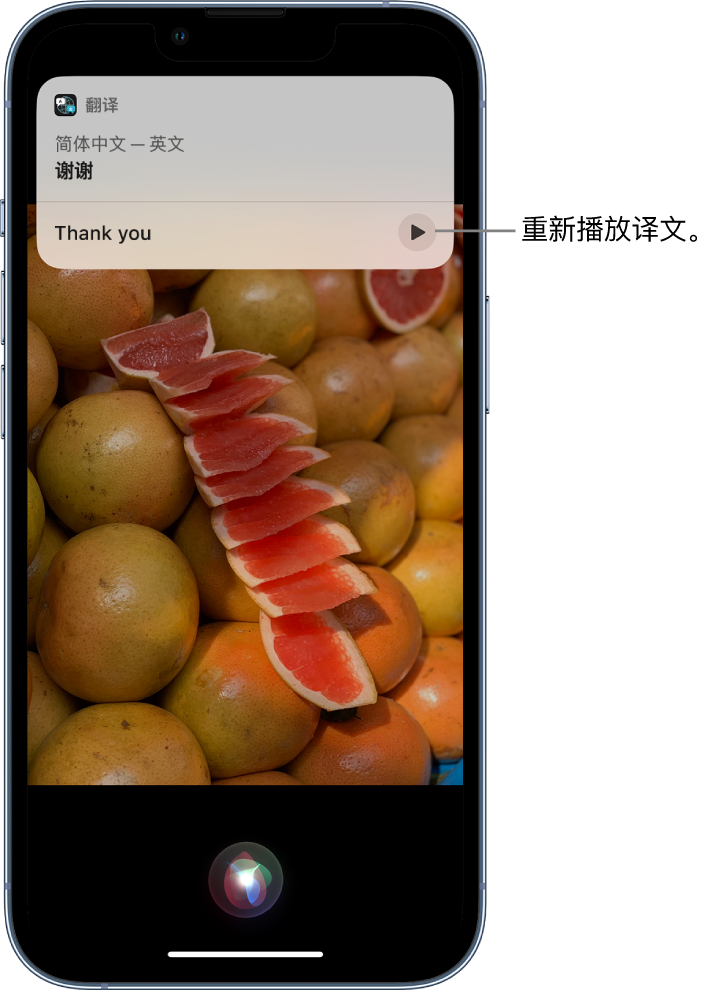 大足苹果14维修分享 iPhone 14 机型中使用 Siri：了解 Siri 能帮你做什么 