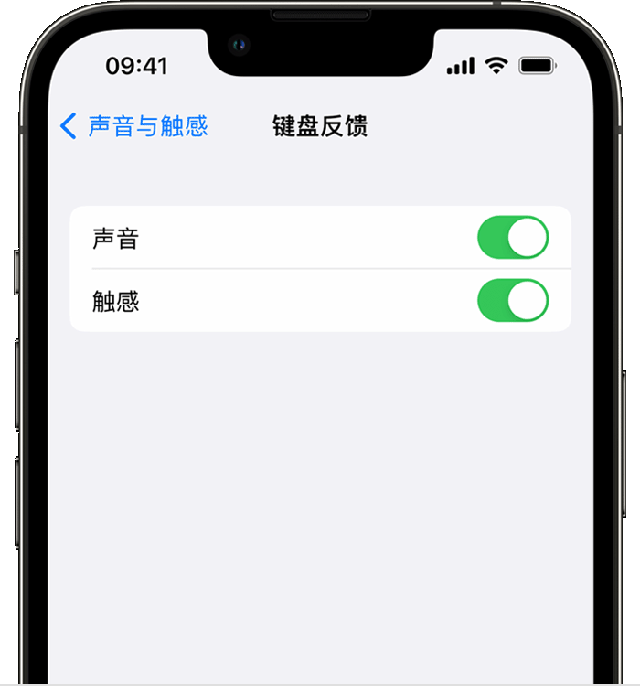 大足苹果14维修分享iPhone 14 系列机型如何开启键盘声音或触感反馈 