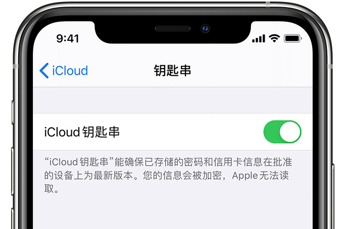 大足苹果手机维修分享在 iPhone 上开启 iCloud 钥匙串之后会储存哪些信息 