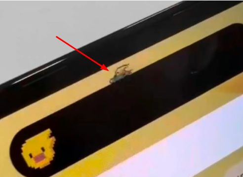 大足苹果14维修分享iPhone 14 Pro Max灵动岛怎么养宠物 