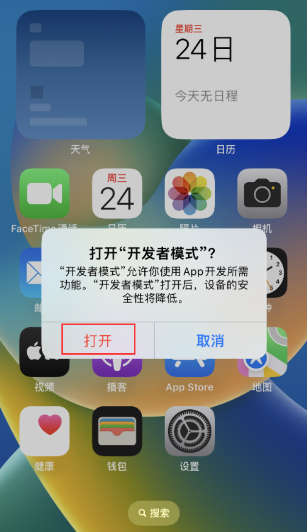 大足苹果手机维修分享如何打开开发者模式 