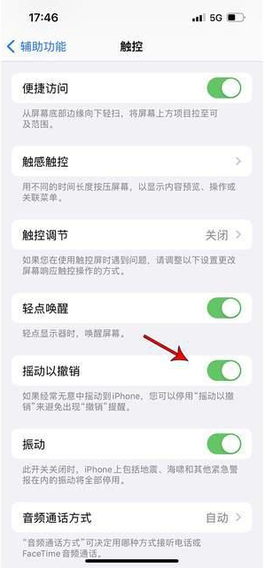 大足苹果手机维修分享iPhone手机如何设置摇一摇删除文字 