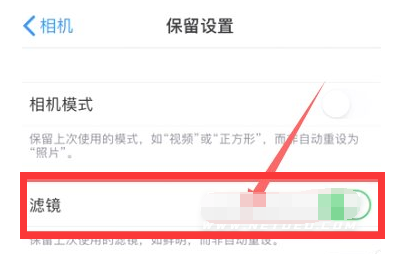 大足苹果13维修分享iPhone13拍照有绿点是怎么回事 