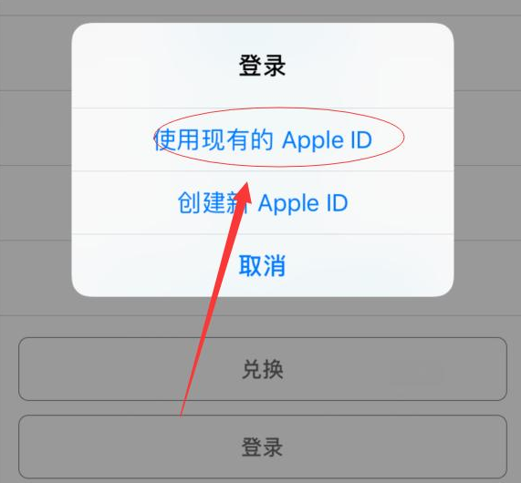 大足苹果手机维修分享两台iPhone设备可以同时登录一个Apple ID吗 