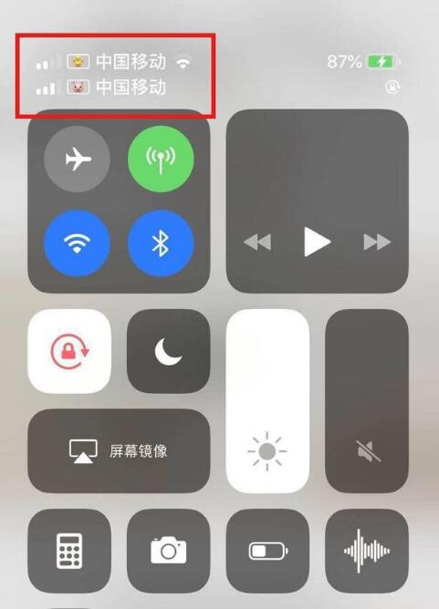 大足苹果手机维修分享为 iPhone 12 双卡设置标签 