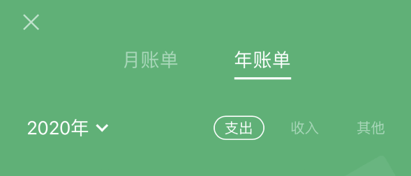 大足苹果手机维修分享如何在 iPhone 上查看支付宝和微信年支出账单 